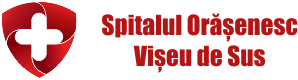 Spitalul Orășenesc Vișeu de Sus
